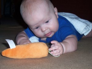 "I can almost reach it ... almost got it ... can't wait to eat a giant fuzzy carrot ..."