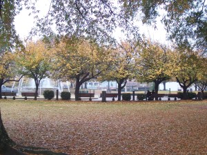 downtown-florence-0014