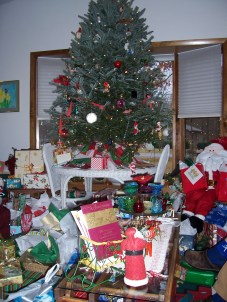 christmas-and-new-years-2006-07-01811