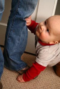 Danielle McCann Photography