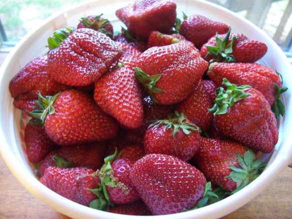 Strawberries