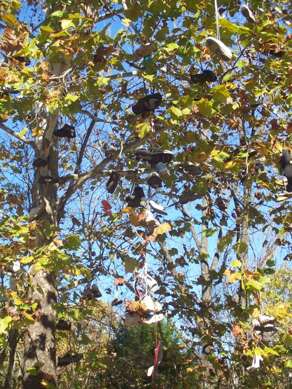 Shoe Tree